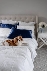 Silk Closet navy blue silk pillowcase on bed with cavalier. 22 momme. Pure luxury